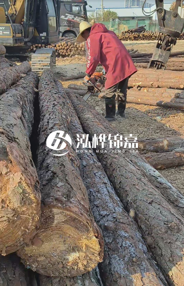 長沙打樁木批發(fā)廠家在哪里？聯(lián)系方式是什么？