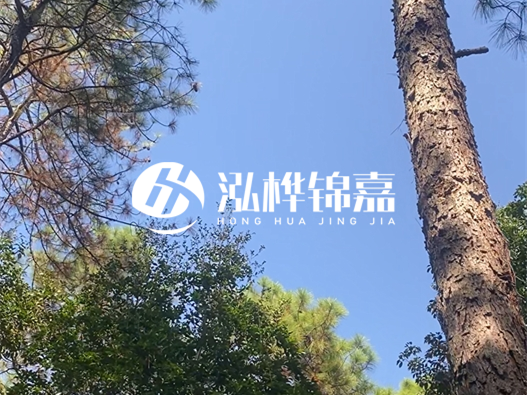 松木樁廠家的供貨能力強(qiáng)不強(qiáng)-怎么才能聯(lián)系到松木樁廠家？
