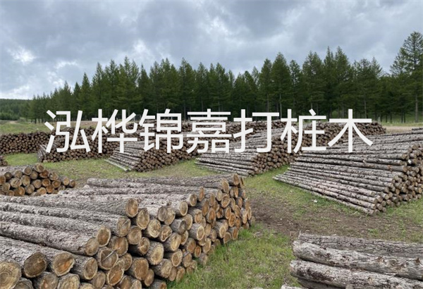 水杉養(yǎng)殖方法與技巧，水杉怎么養(yǎng)家庭養(yǎng)法